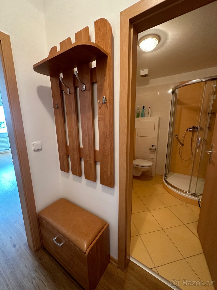 Velká Bíteš 1+kk - 2