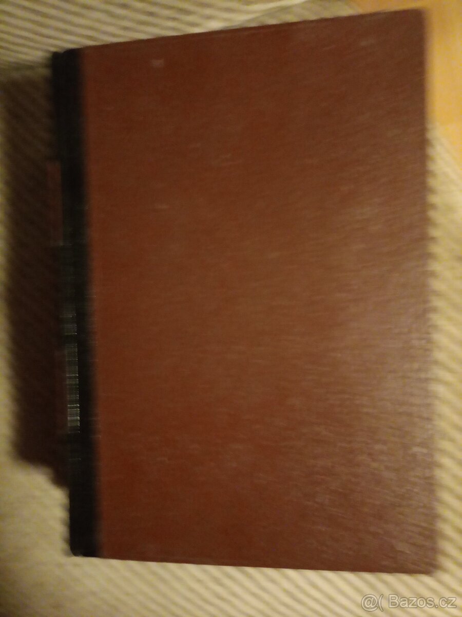 Žaluji Pankrácká kalvárie - 2