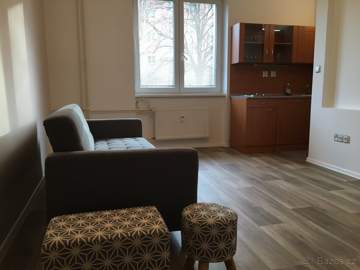 Mělník, ul. Čechova, 1+kk- 30 m² - 2