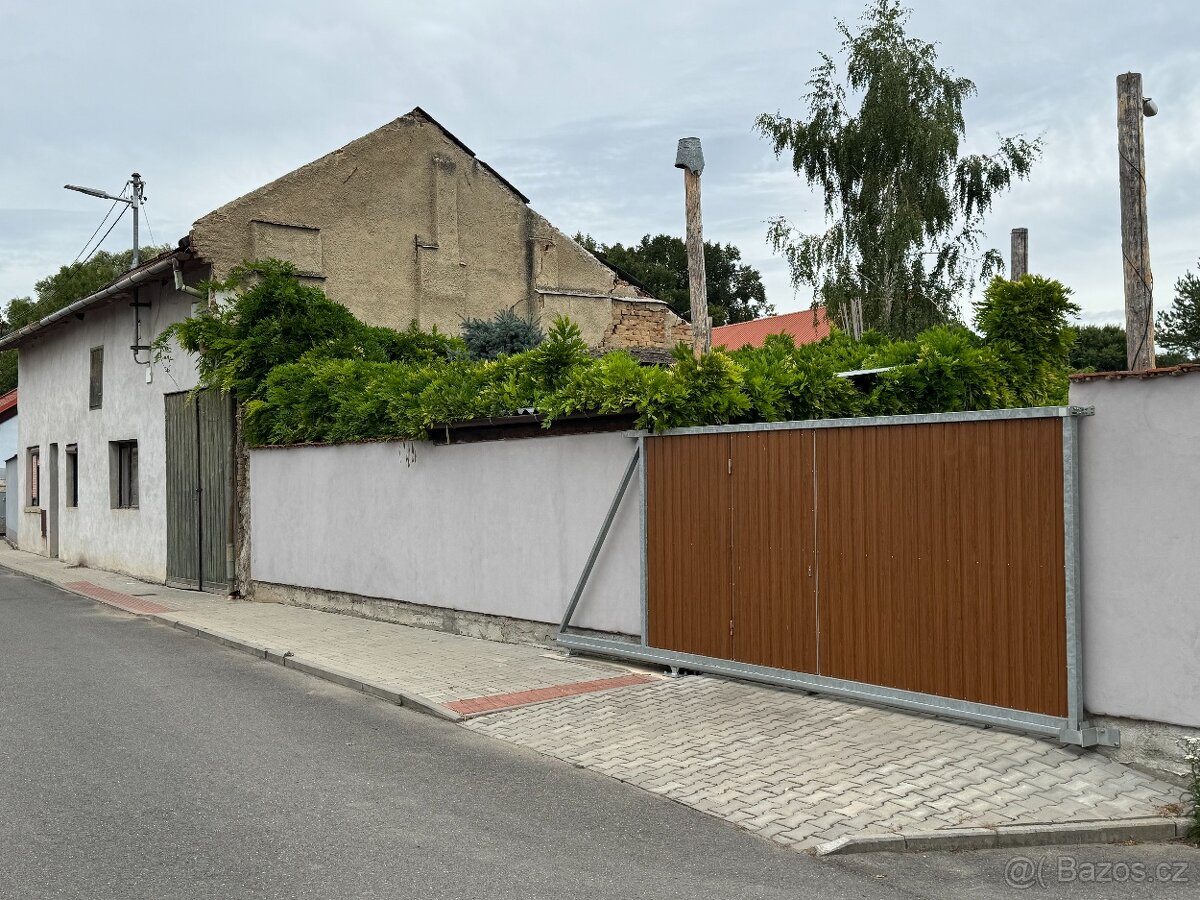 Vistárie Čínská - 2