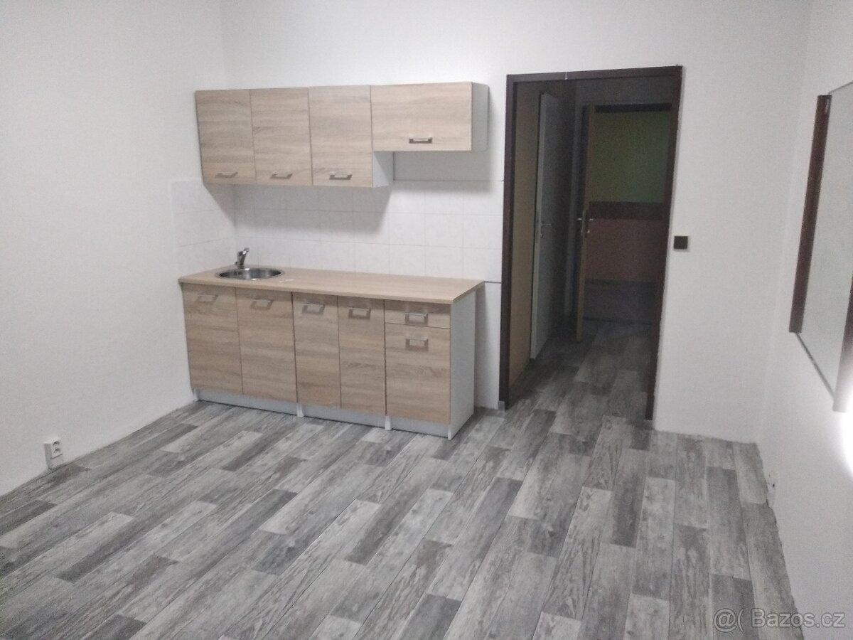 Horský apartmán 1+kk v Prostředním Lánově u Vrchlabí - 2