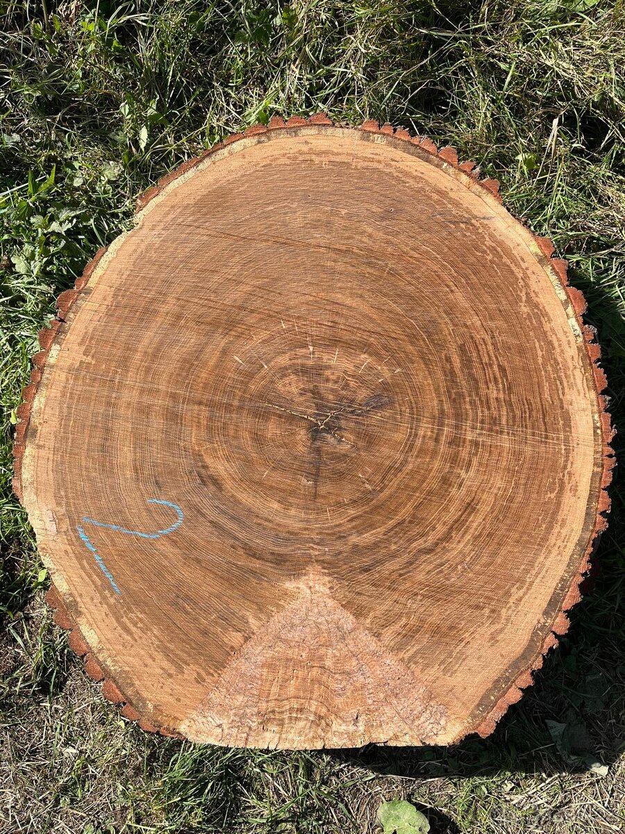 Dubové koláče - 2