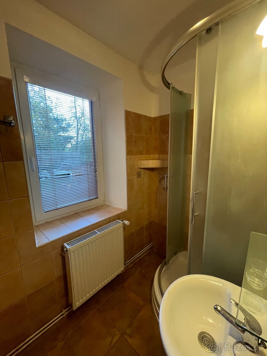 Pronájem bytu 1+1 - 2