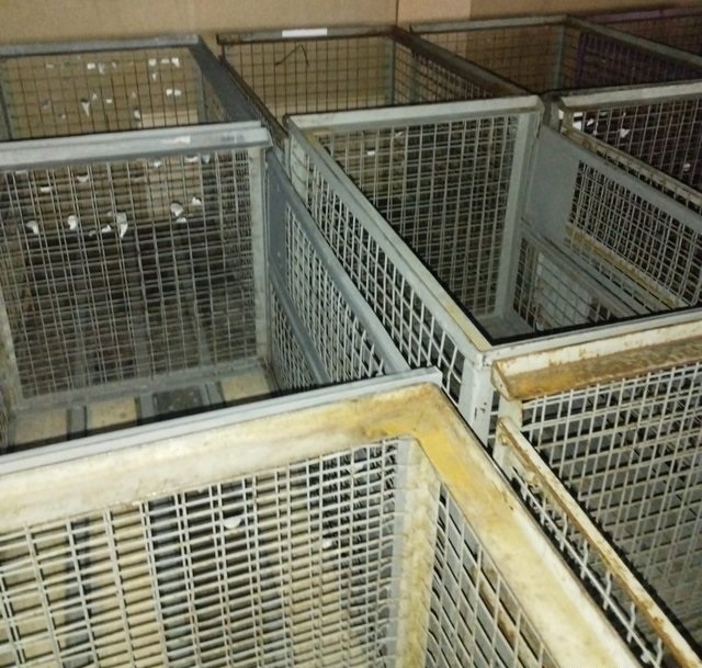 Gitterbox 1240x835x970 (13597.) - 2