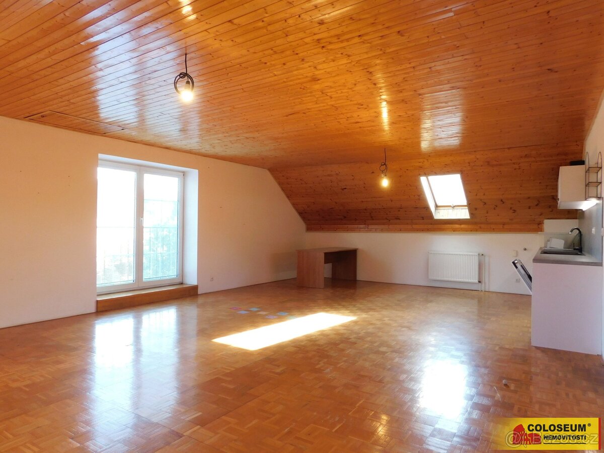 Dobšice, pronájem bytu OV 3+kk, 130 m², zahrada – byt - 2