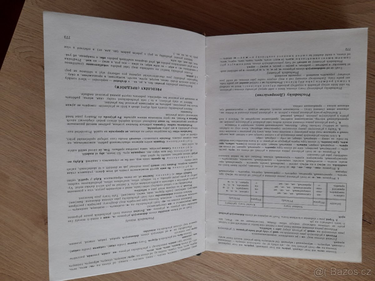 RUSKO-ČESKÝ slovník - 2