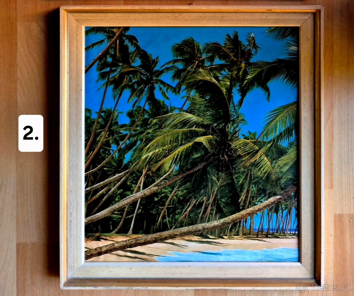 Obrazy tropické pláže - 2