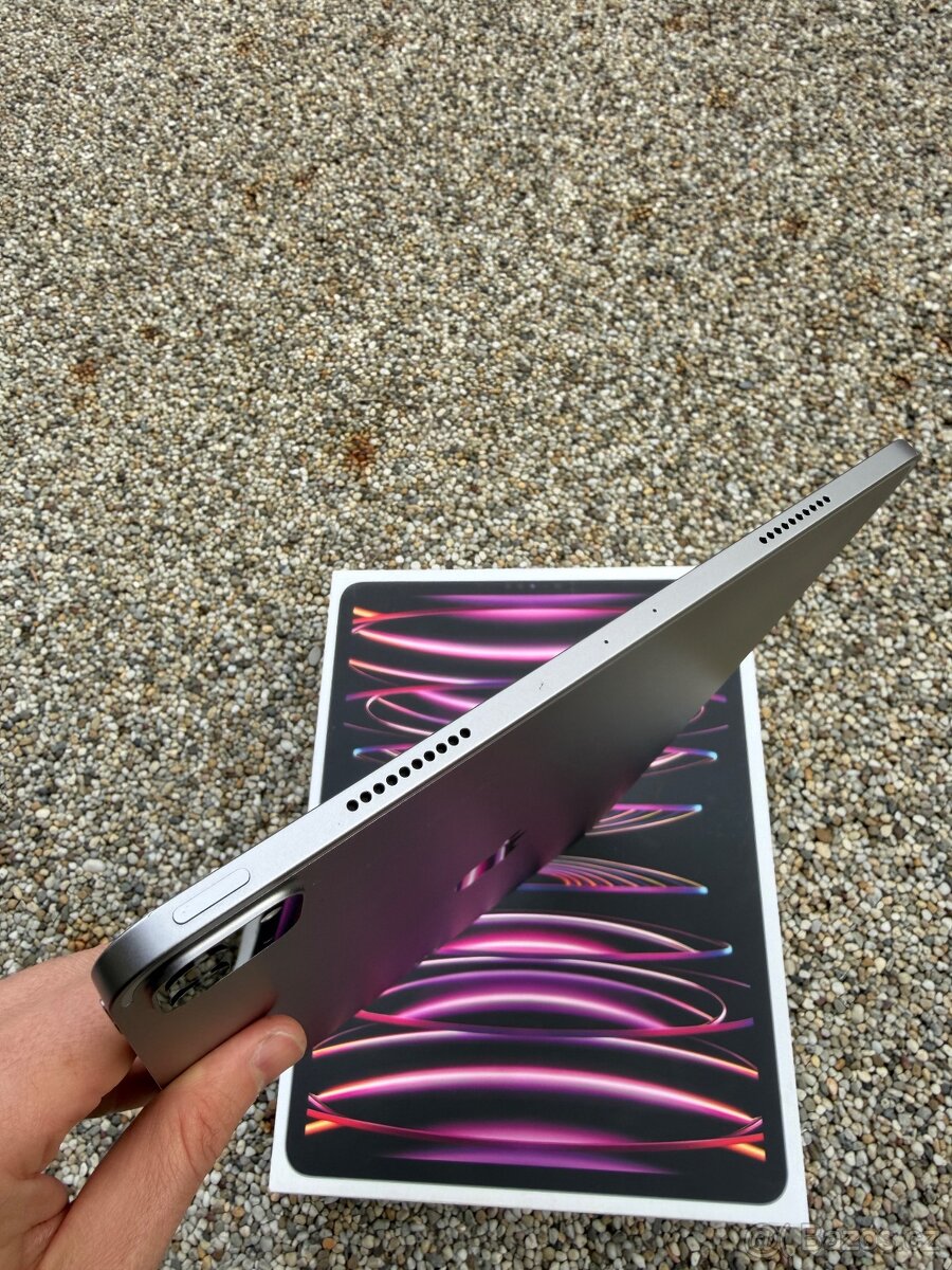 iPad PRO 12.9 M2 (6.generace) - 2