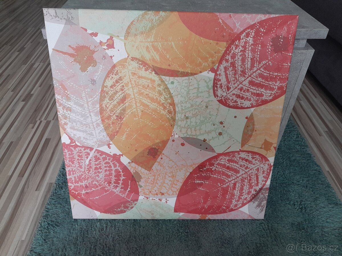 Obraz-plátno 56x56 cm - 2