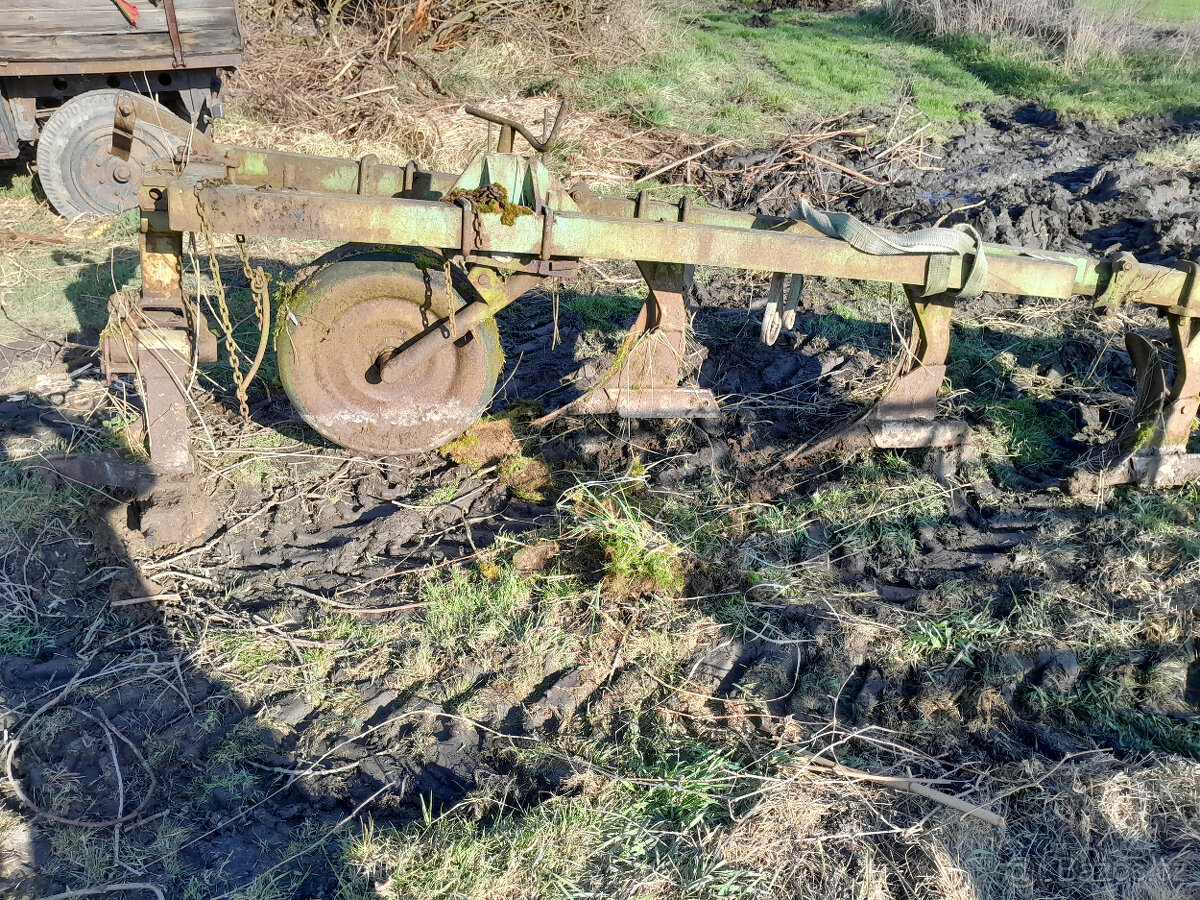 Pluh 5 radličný polonesený - 2