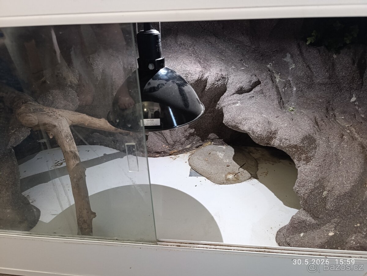 Terarium - 2