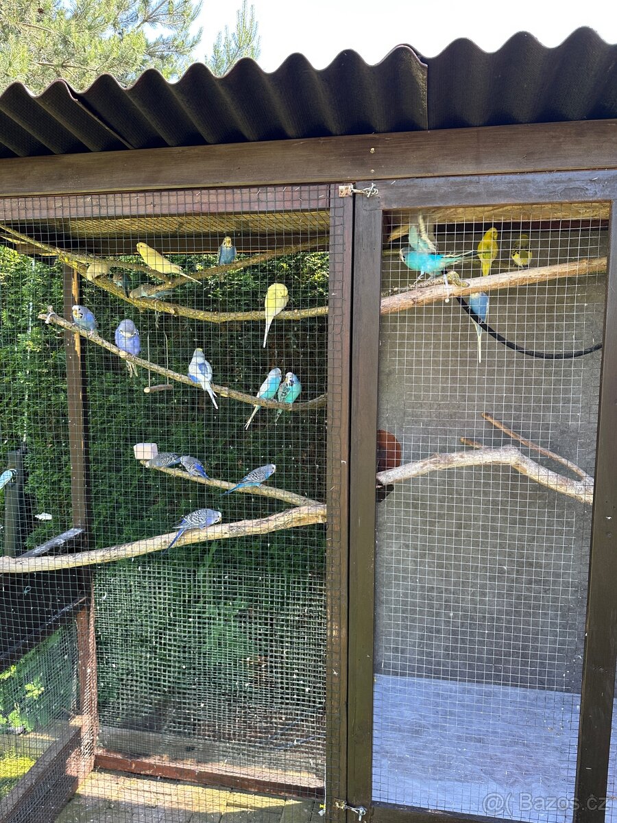 Venkovní voliera dvoudílná - 2