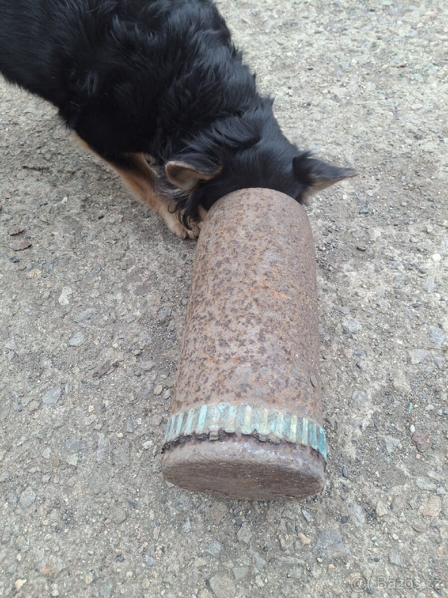 Hilzna z hmozdire, asi cvičná - 2