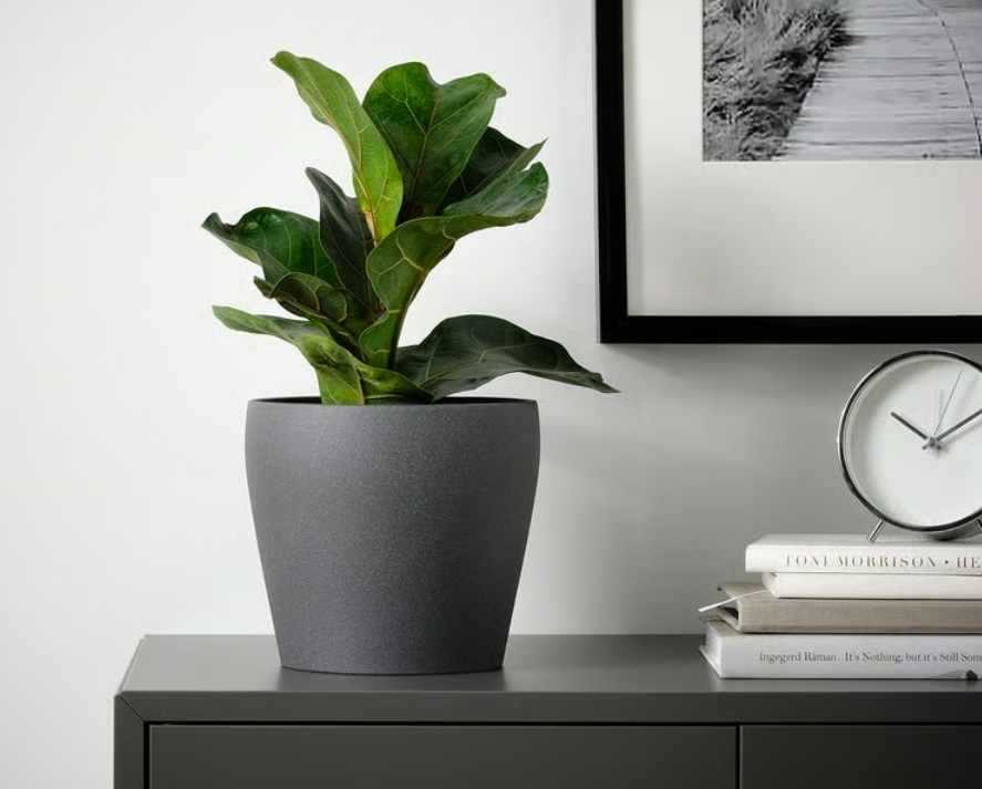 Květináče tmavě šedé IKEA - 2