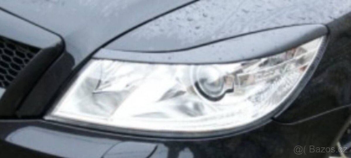 Čierne lesklé mračítka. - 2