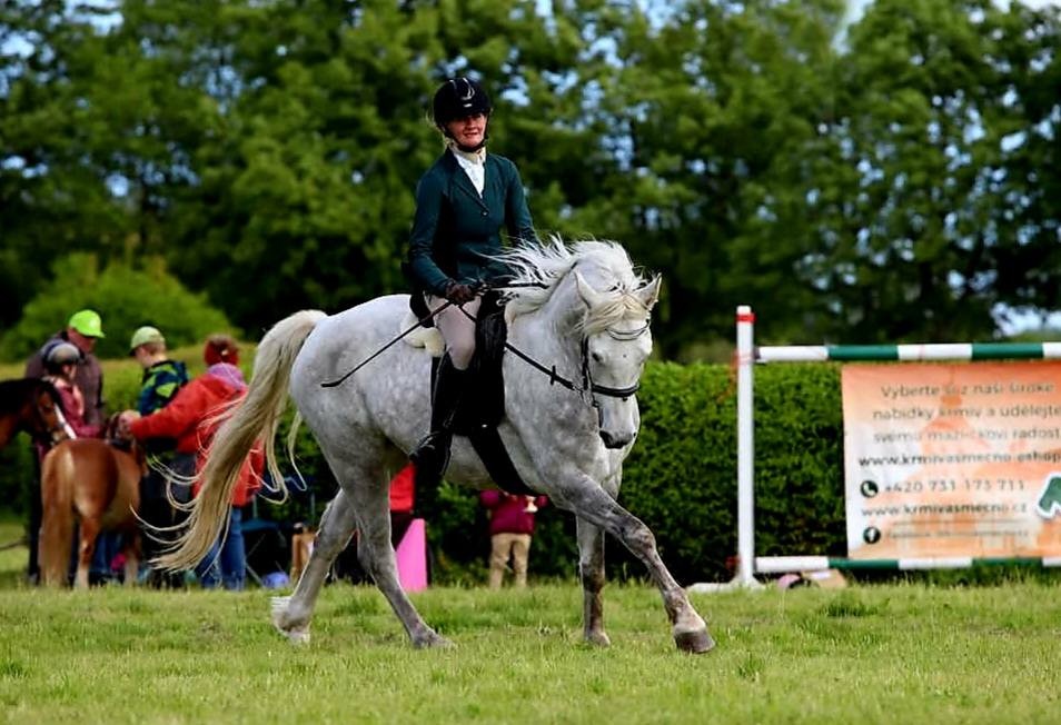 Úspěšný connemara valach TOP - 2