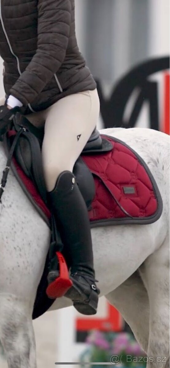 Equestrian Stockholm Bordeaux + cabraka le-mieux - 2