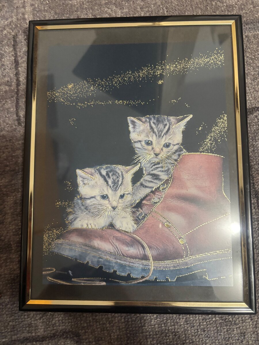 Obrazy - cena dojodou - 2