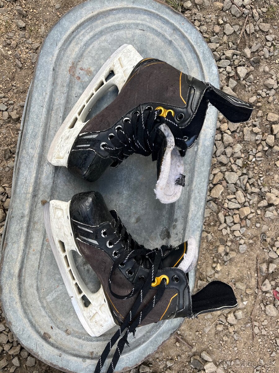 Brusle Bauer vel.36 - 2