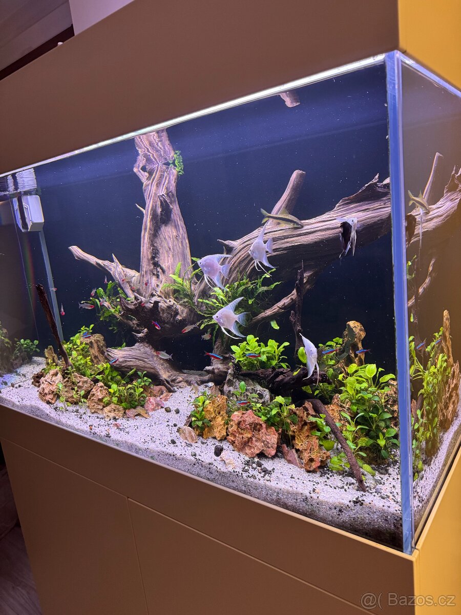 Luxusní akvárium 400 l - 2