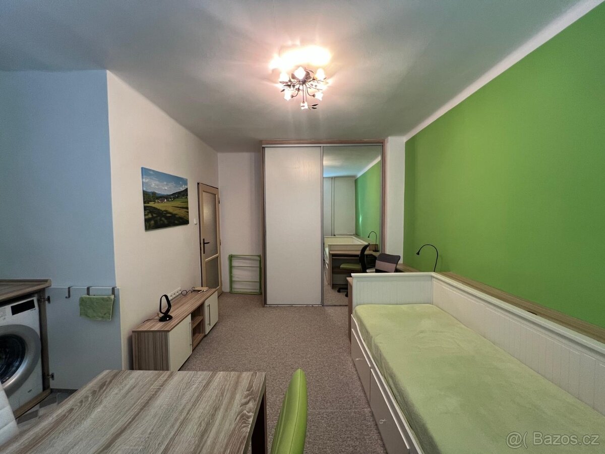 Pronájem, byt 0+1,22 m2, ul. Svazácká, Ostrava -Zábřeh - 2