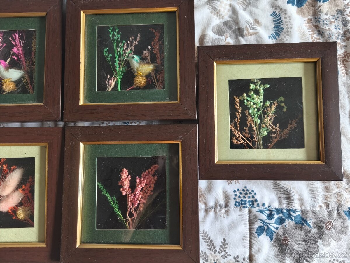 Obrazy, obrázky - 2