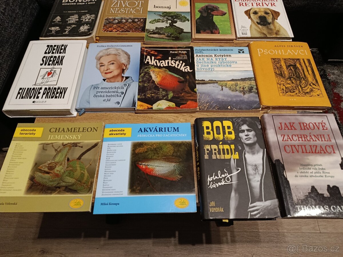 Výběr knih - 2
