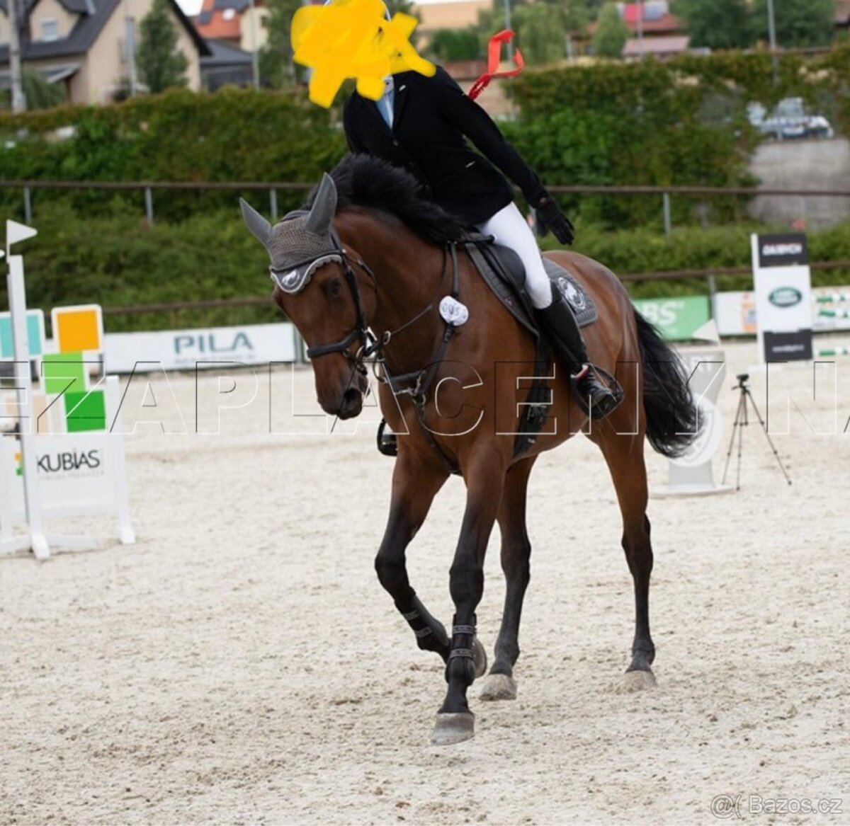 Kobyla s hříbětem - 2