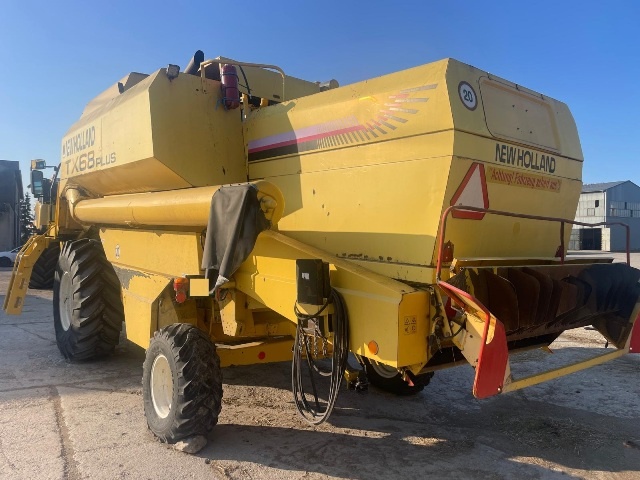 Maltička New Holl TX68 - 2