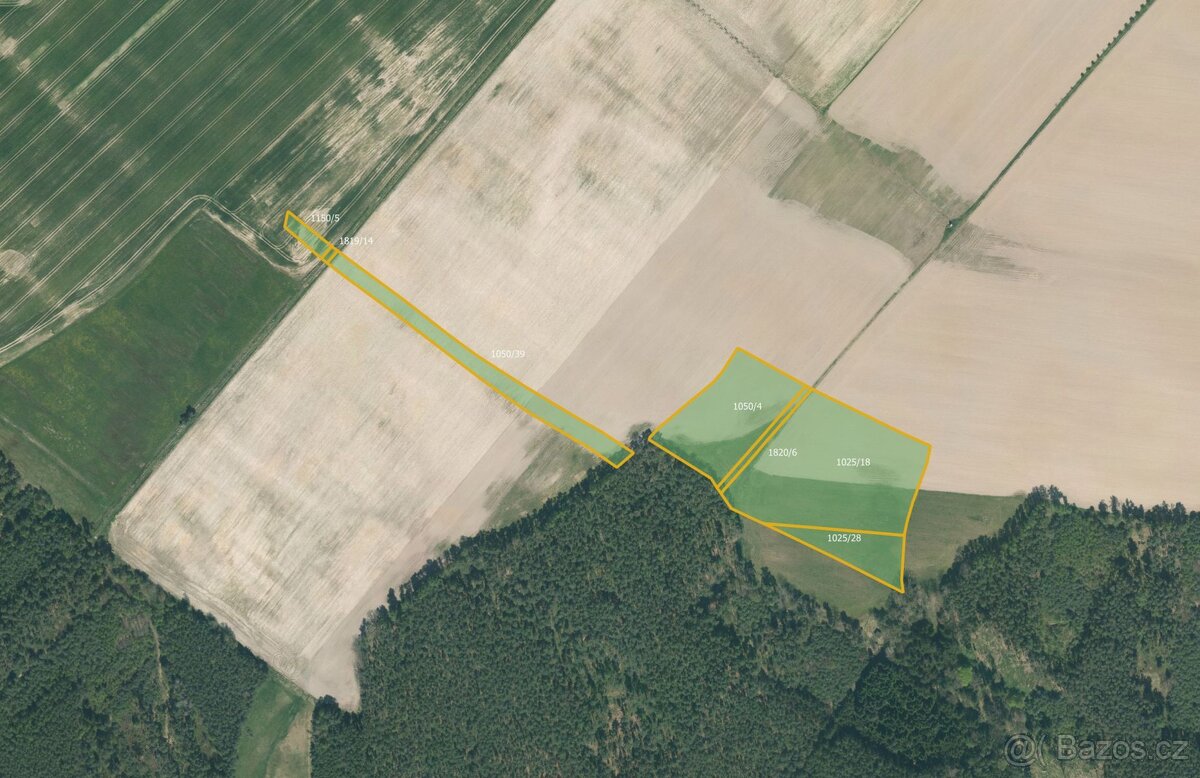 Zemědělská půda, prodej, Vlastiboř, Tábor - 2