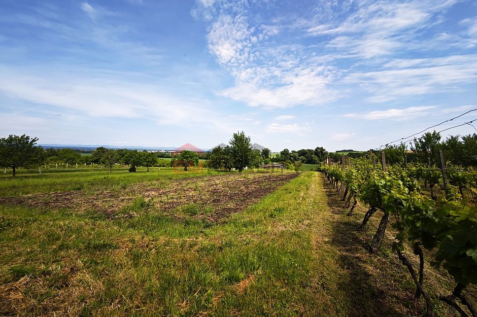 Prodej Pozemku 2 707 m2, Strážnice - 2