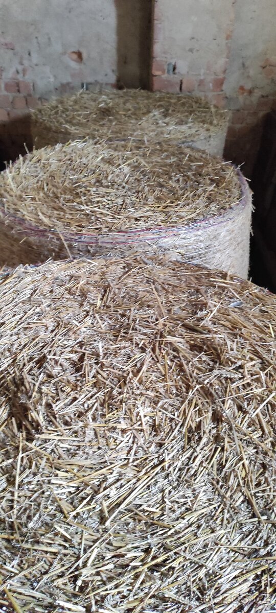 Prodám slamu - 2