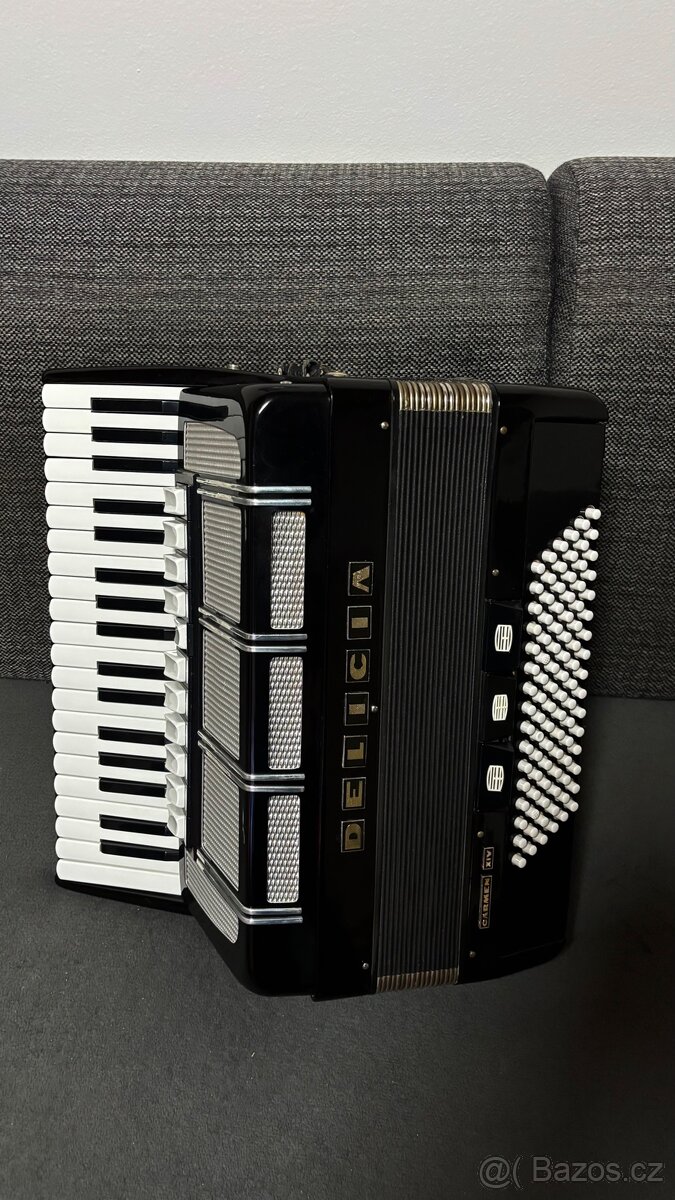 Delicia Carmen XIV (14) - 2