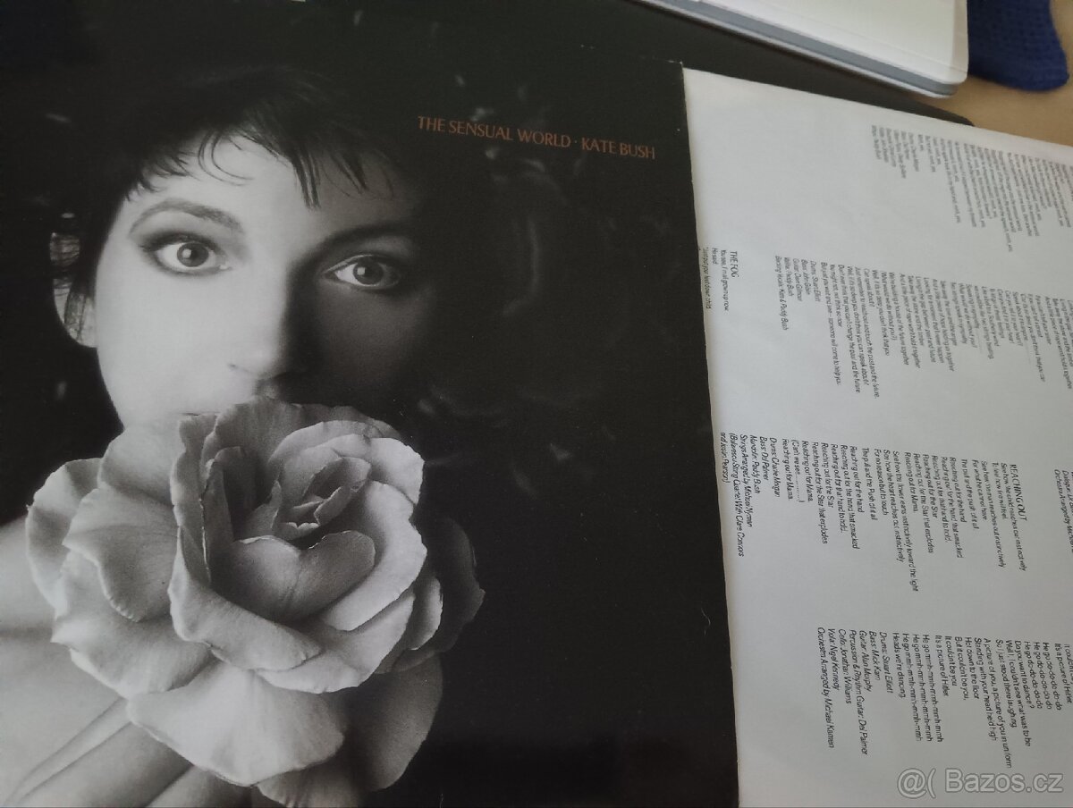 PRODÁM LP VINIL DESKU KATE BUSH - 2