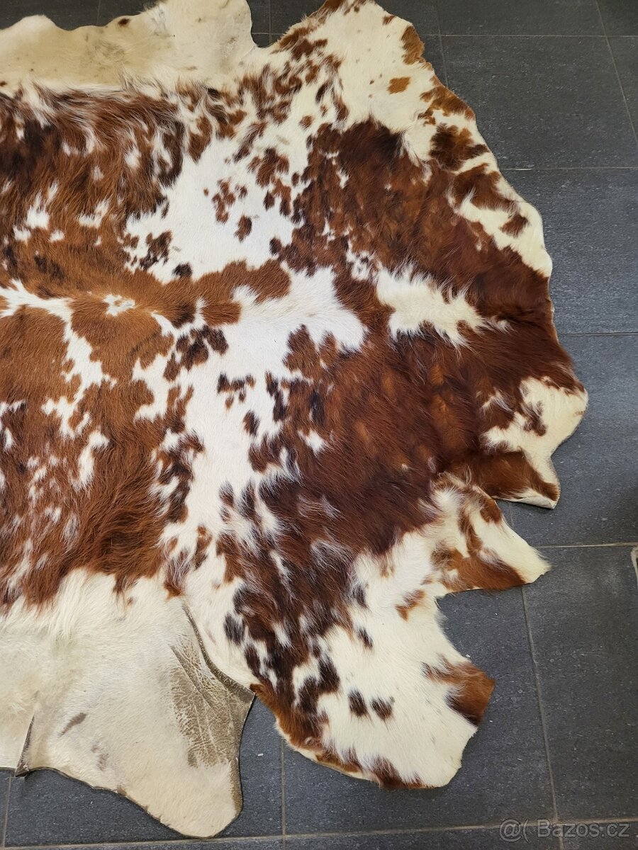 kůže, hovězí kožešina, velikost 174x166 cm - 2