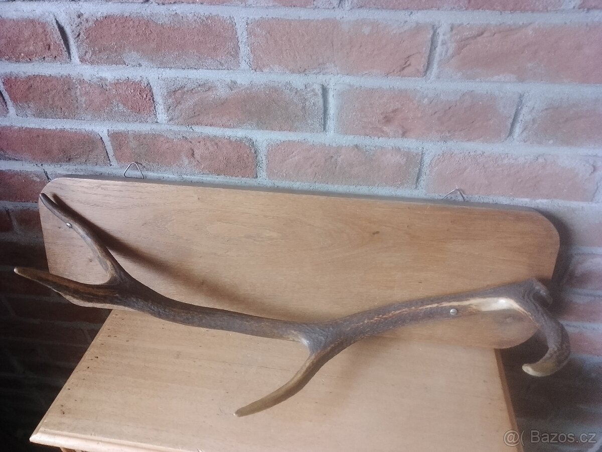 Věšák s parožím - 2