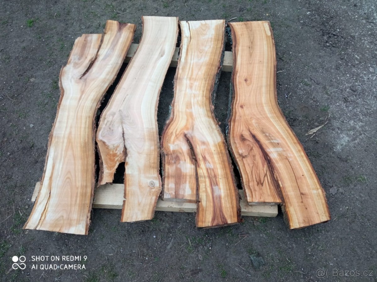 Fošny třešeň - 2