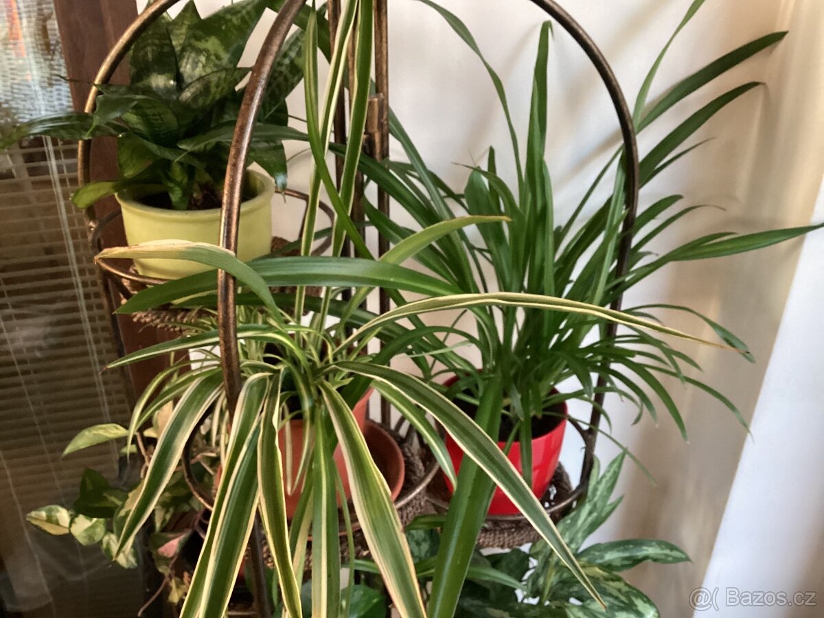 Květinový koutek - 2