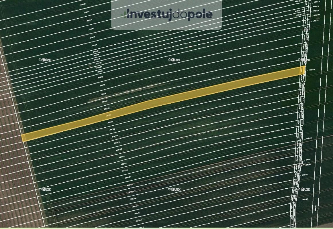 Prodej sadu / vinice 11 743 m², Čejkovice - 2