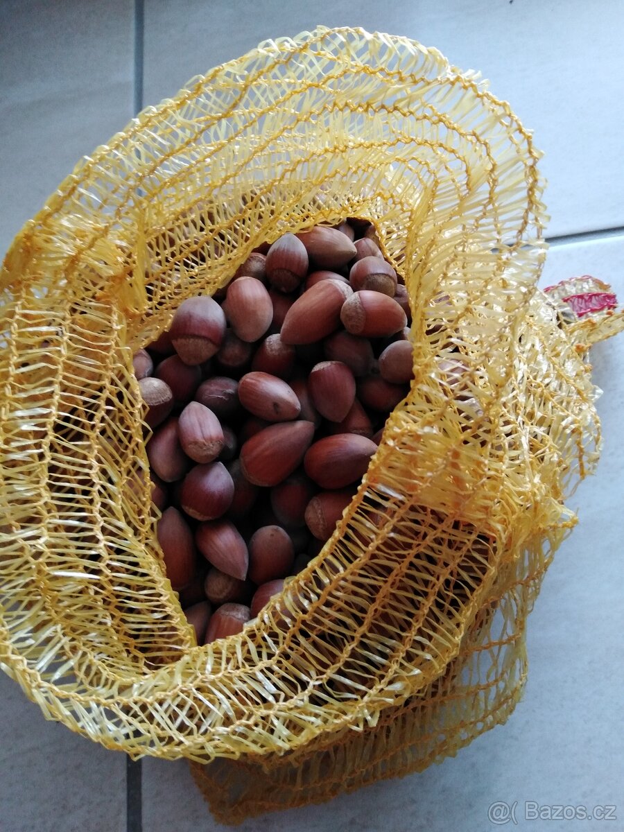 Lískové ořechy, vlašské ořechy - 2