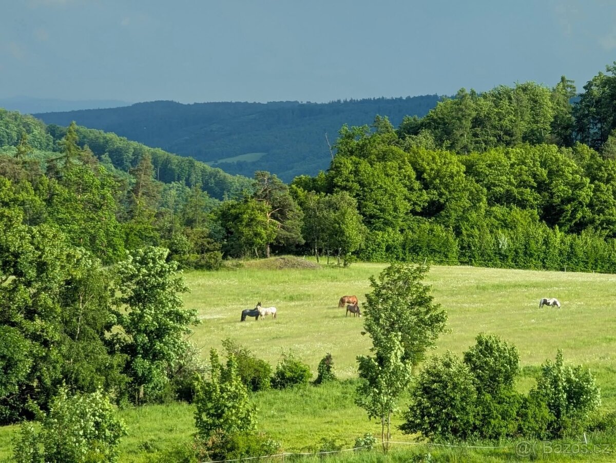 Dětský pobytový tábor u koní - 2