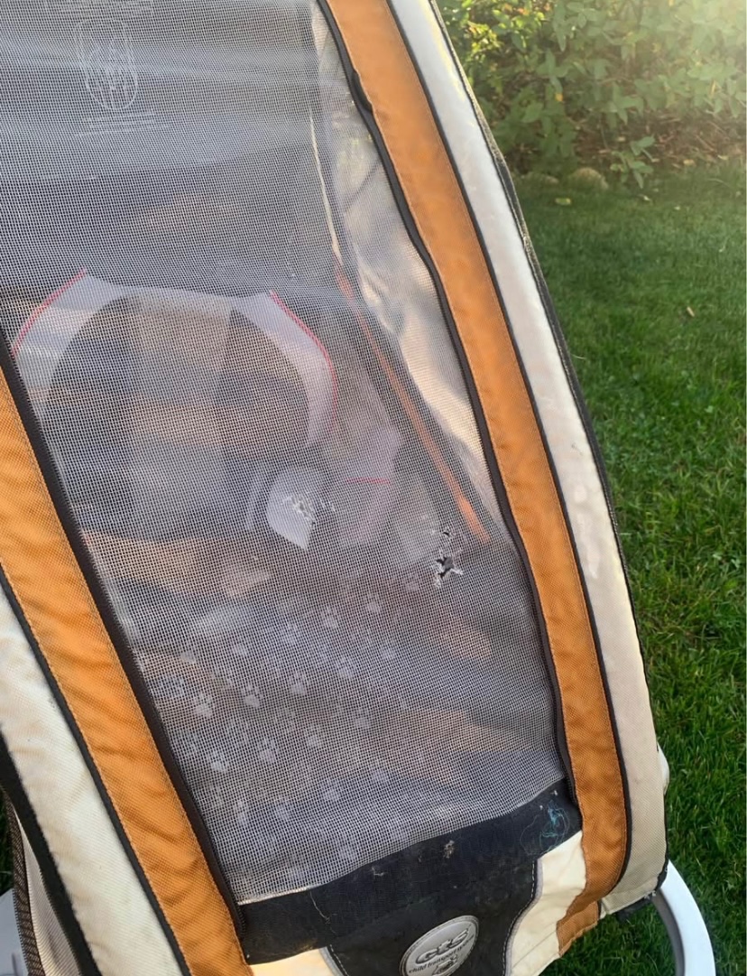 Thule Chariot XC1 - 2