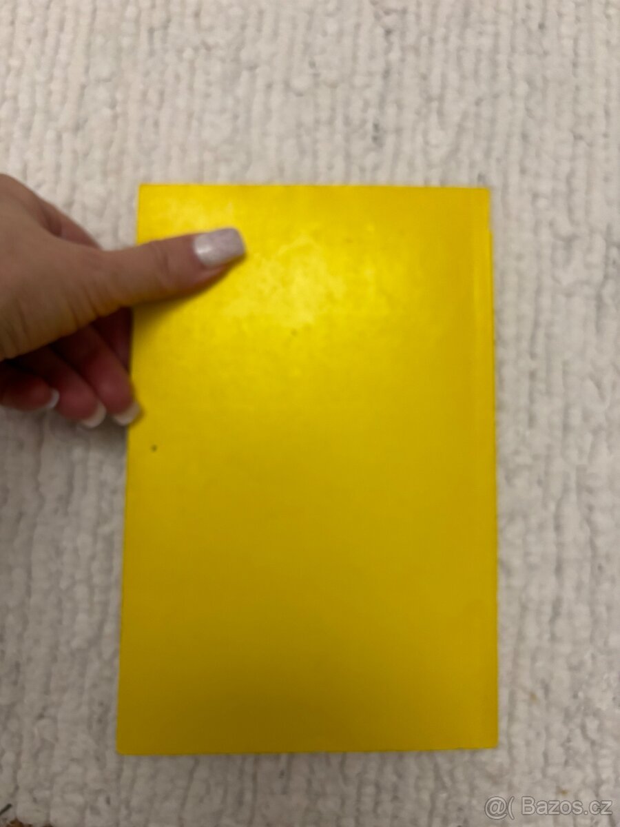 Psychologie jak zit s psychozou - 2