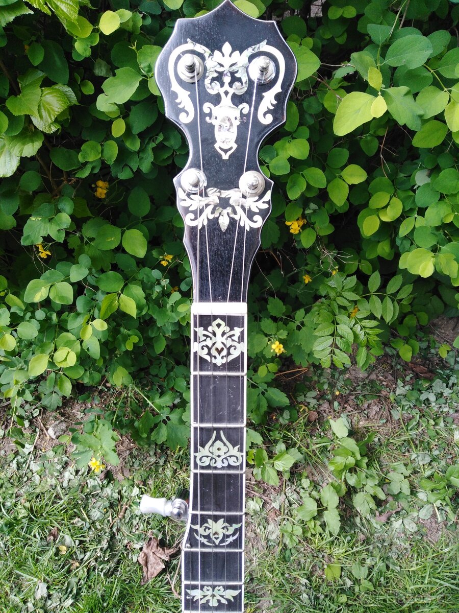 prodám 5. strun banjo - 2