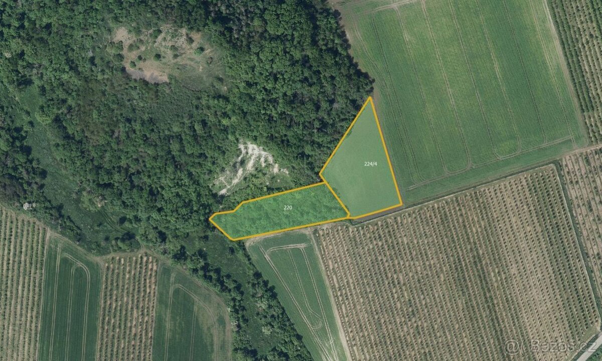 Sady, vinice, prodej, Želkovice, Louny - 2