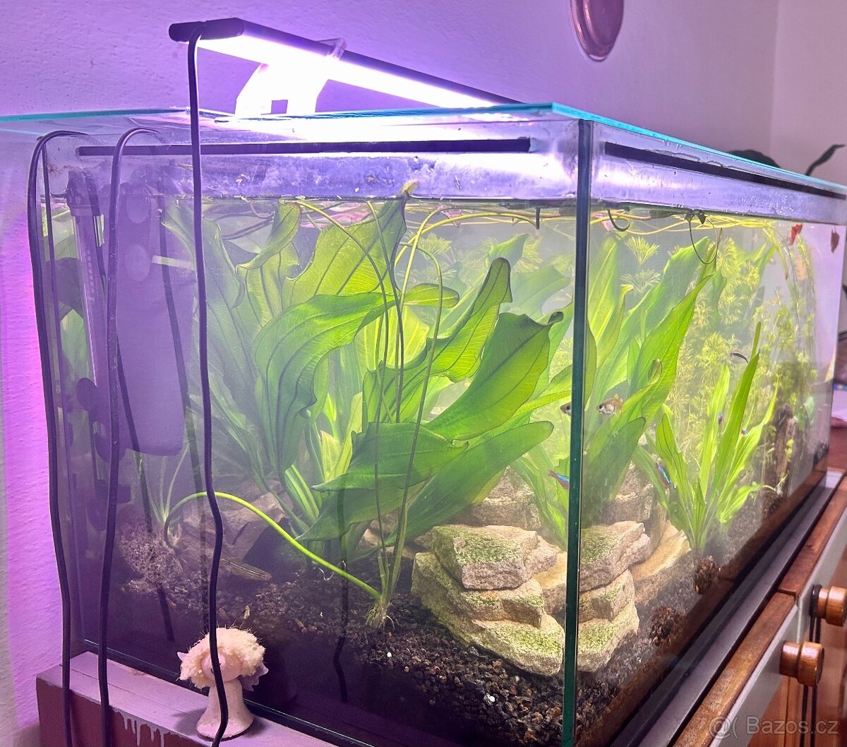 Akvárium cca 100l - 2