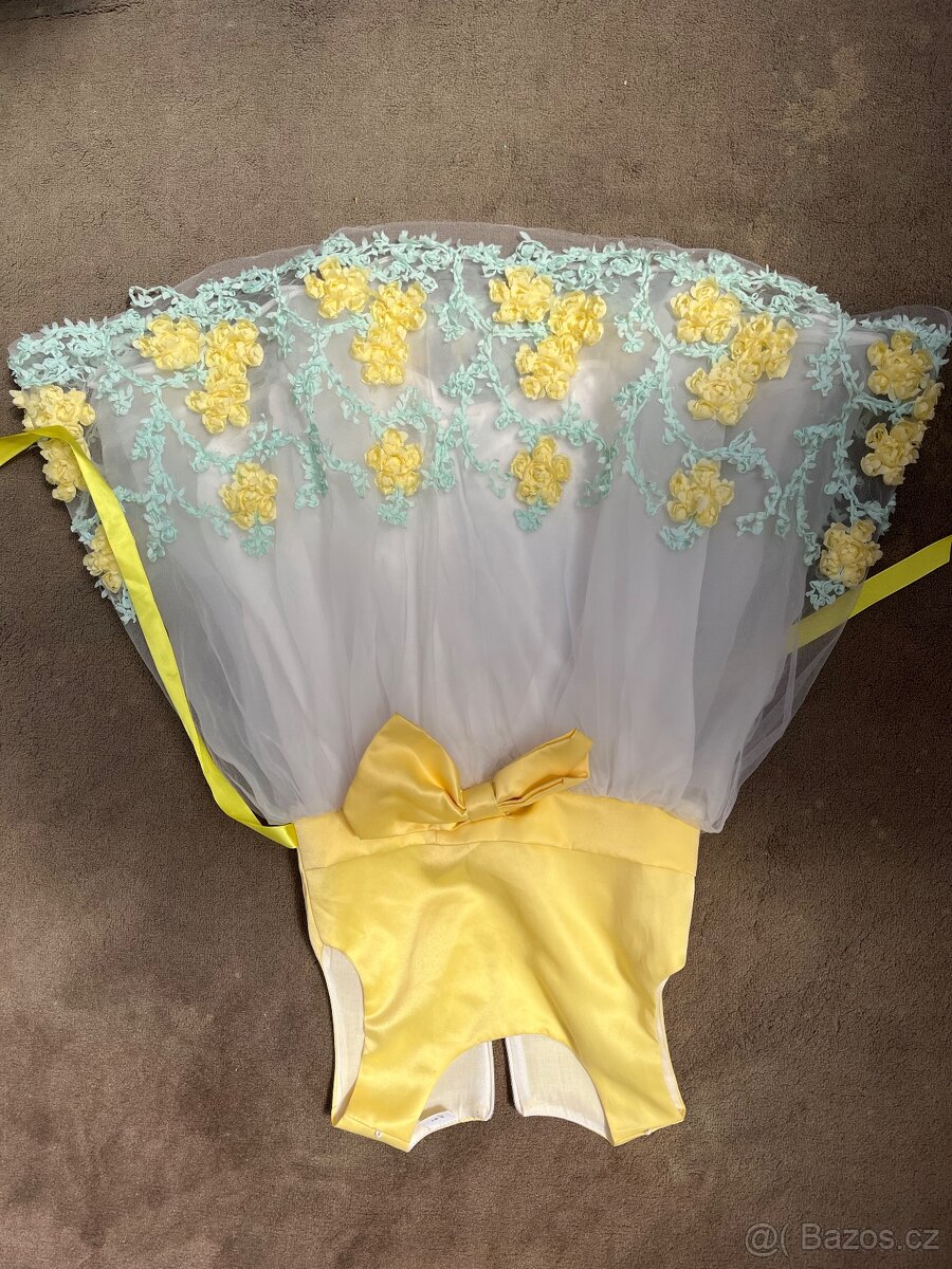 Krasne saty pro princeznu - 2