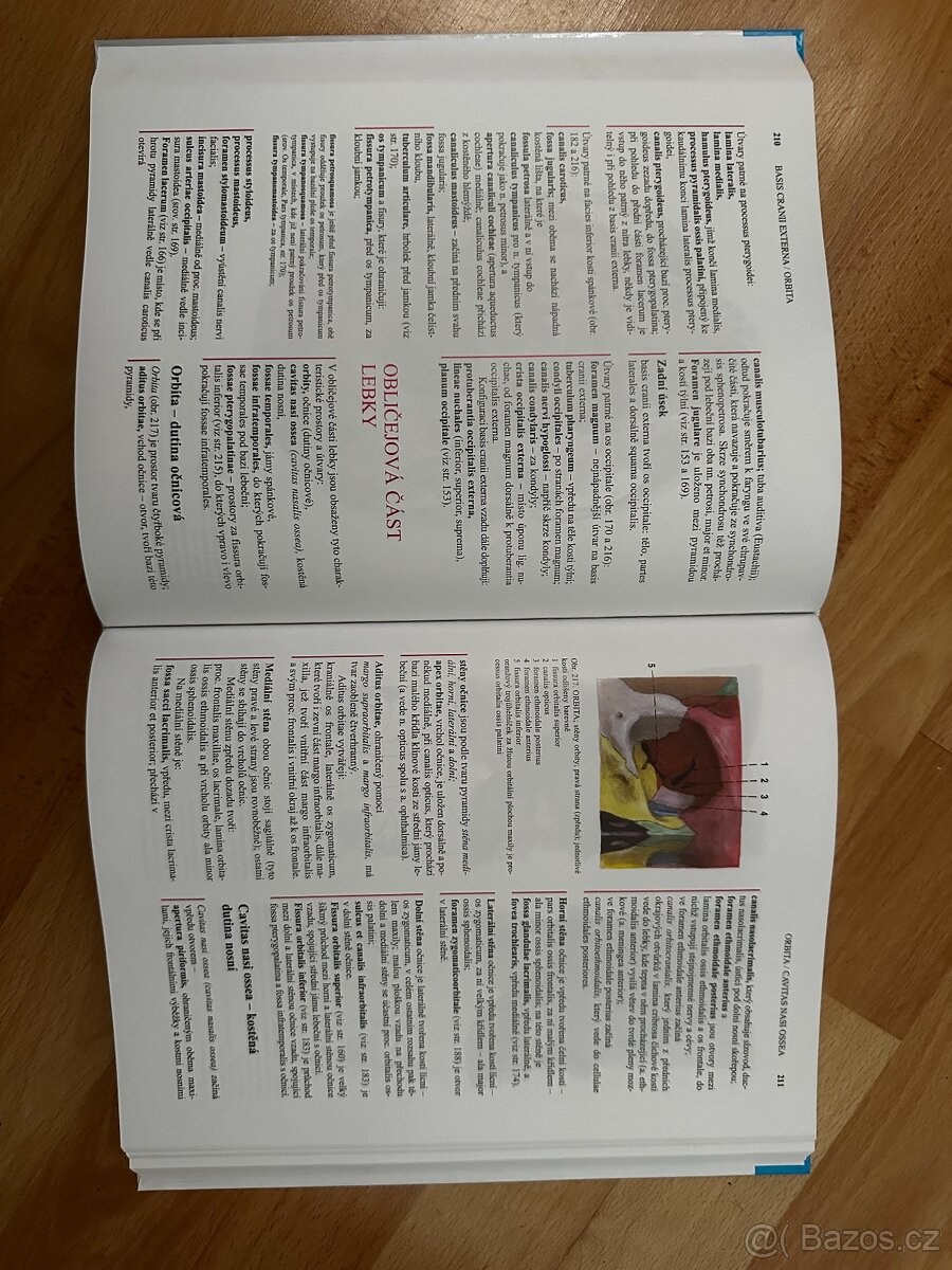 Čihák Anatomie 1 - 2