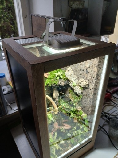 terárium - 2