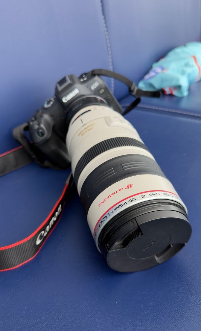 Canon EF 100-400 L 4.5-5.6 - 2